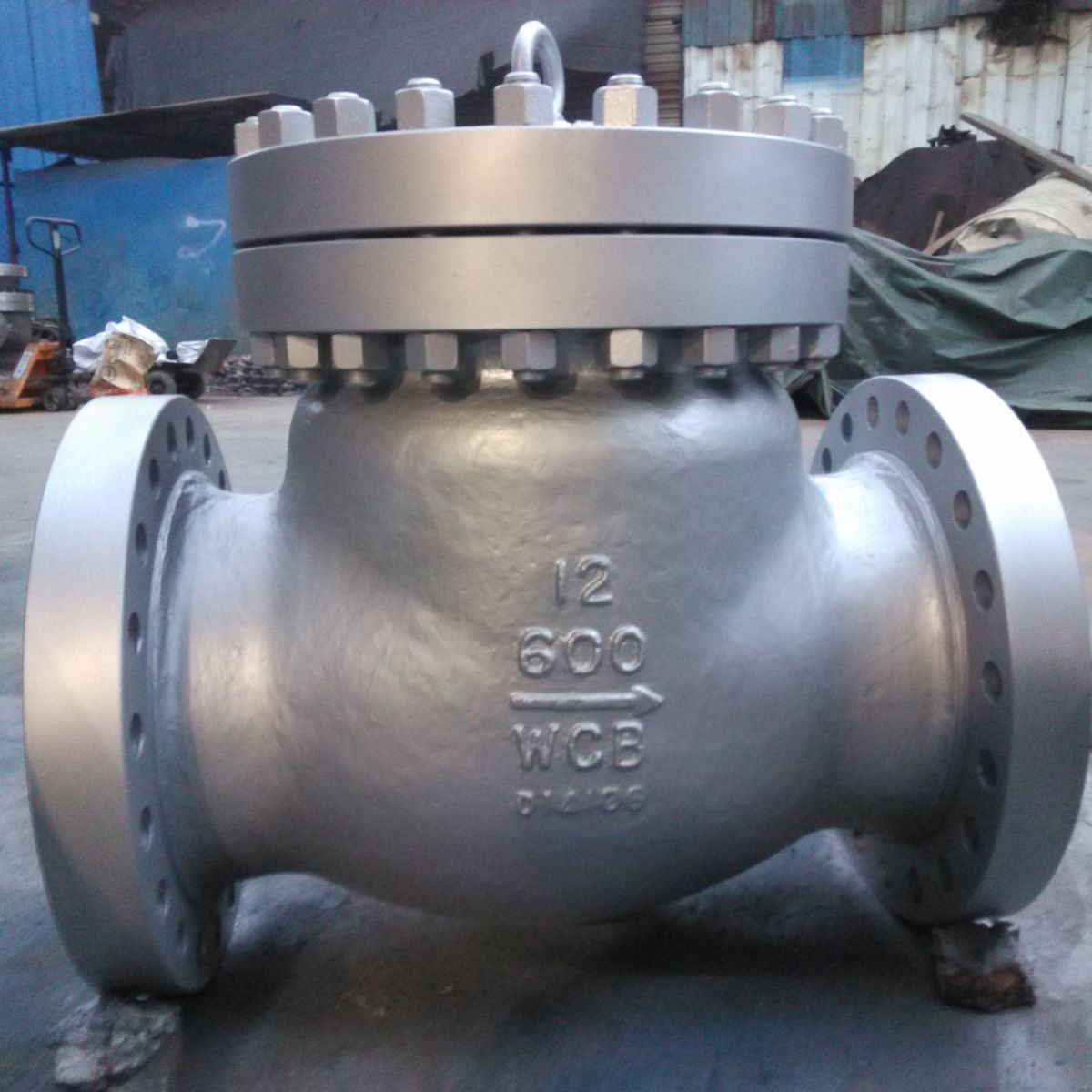 wcb high pressure check valve body