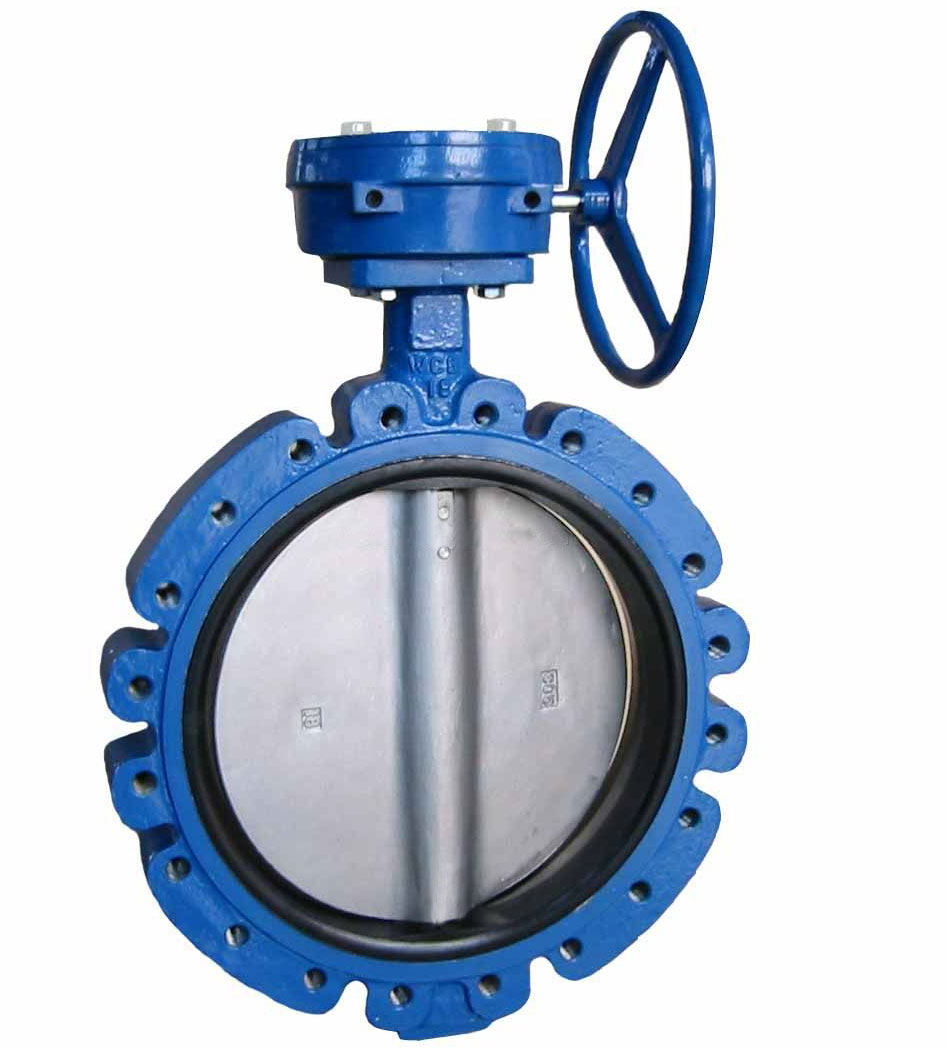 China cast iron rough casting butterfly valve body